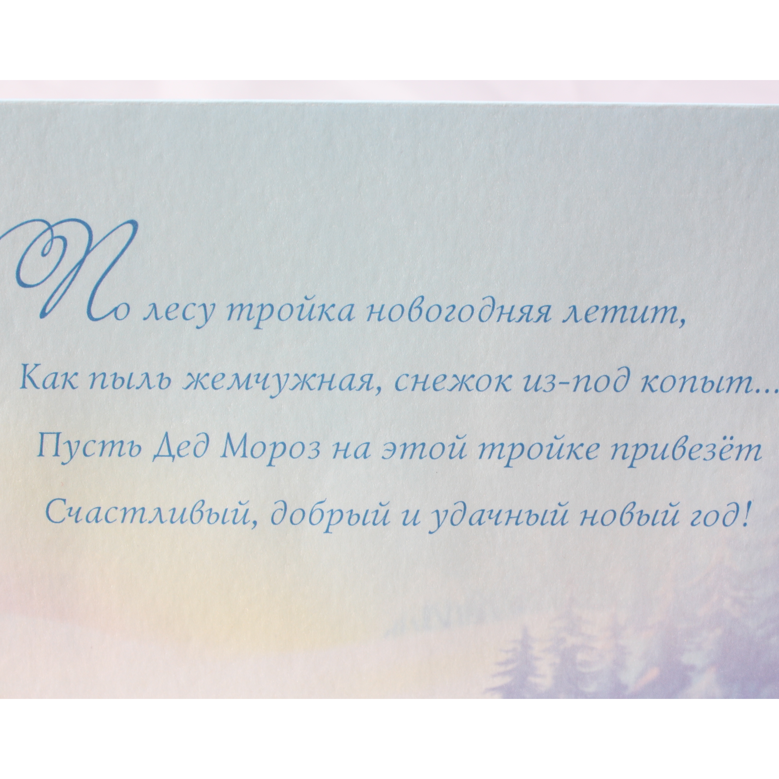 С Новым годом! Снегири