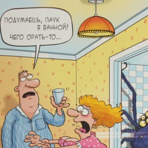 С Днем рождения! Паук