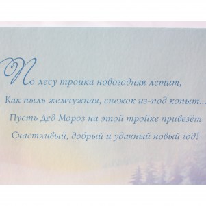 С Новым годом! Снегири